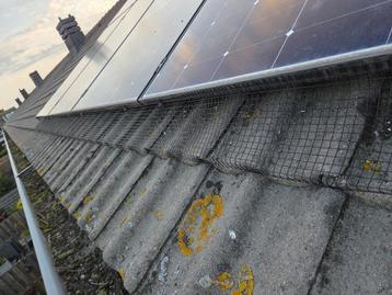 installatie vogelwering voor zonnepanelen beschikbaar voor biedingen