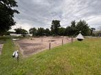 Voordelige stalling in Hoogland aangeboden, Dieren en Toebehoren, Stalling en Weidegang, Stalling