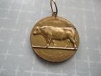 Belgische medaille, Ministerie van Landbouw 1958, Postzegels en Munten, Penningen en Medailles, Verzenden, Overige materialen