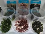 Hobbyaquarium fris assortiment/invitro planten/mossen AKTIE, Ophalen, Hobbyaquarium, Plant(en), Steen of Hout, Nieuw