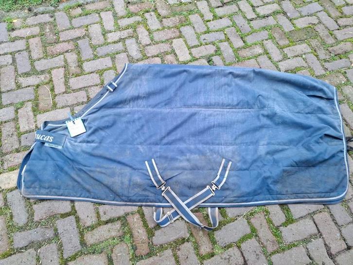 Paarden dekens, Bucas ivbm stoppen paard 6 inch 175, Dieren en Toebehoren, Paarden en Pony's | Dekens en Dekjes, Zo goed als nieuw