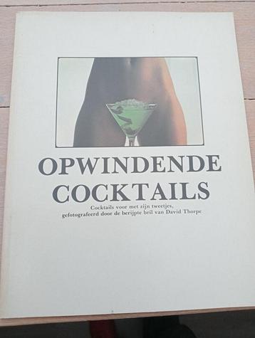 Opwindende Cocktails David Thorp