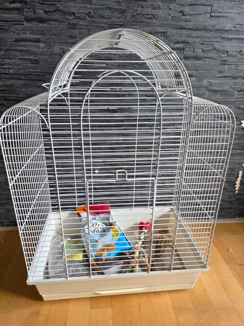 Parkietenkooi met extra spullen, Dieren en Toebehoren, Vogels | Hokken en Kooien, Zo goed als nieuw, Vogelkooi, Metaal, Ophalen of Verzenden