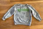 Grijze trui maat 110-116 Wild &Rough met beertjes Dopodopo, Kinderen en Baby's, Gebruikt, Trui of Vest, Ophalen of Verzenden, Dopodopo