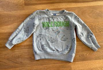 Grijze trui maat 110-116 Wild &Rough met beertjes Dopodopo beschikbaar voor biedingen