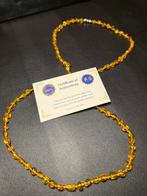 Gecertificeerd orginele barnsteen nieuw, Geel, Nieuw, Ophalen of Verzenden, Steen of Mineraal