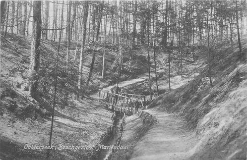 (387-212-023) Oosterbeek Boschgezicht Mariendaal, Verzamelen, Ansichtkaarten | Nederland, Gelderland, Verzenden