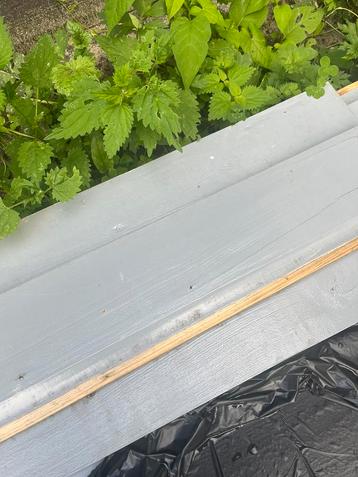 Hout! beschikbaar voor biedingen