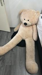 Teddy beer, Online, Beer, ..., Ophalen of Verzenden