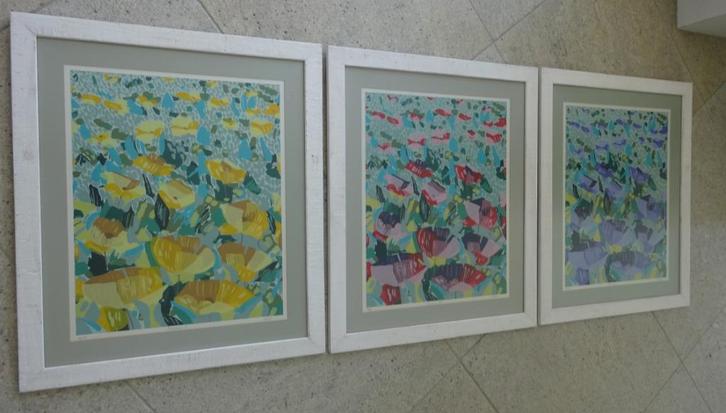 Larana Zuid Afrika: drieluik Romance- zeefdrukken, Antiek en Kunst, Kunst | Litho's en Zeefdrukken, Ophalen