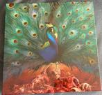 2 LP / 2 CD / DVD - Opeth : Sorceress, Ophalen of Verzenden, Zo goed als nieuw, Progressive, 12 inch