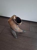 Koe hoorns, Ophalen, Zo goed als nieuw, Boerderijdier, Gewei of Kop