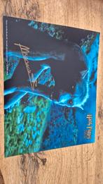 Gesigneerde Harry Potter foto - Marnix Van Den Broeke, Ophalen of Verzenden, Zo goed als nieuw, Boek of Poster