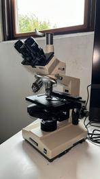 Olympus fasecontrast microscoop, Ophalen, Zo goed als nieuw, 400x tot 1000x, Biologische microscoop