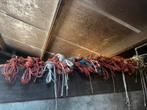 Partij lange strotouwen, Dieren en Toebehoren, Paarden en Pony's | Overige Paardenspullen, Ophalen, Zo goed als nieuw, Overige soorten