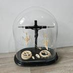Skeletten in glazen stolp  opgezet opgezette Taxidermie, Verzamelen, Dierenverzamelingen, Ophalen, Zo goed als nieuw, Insect, Schedel
