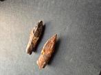 Middeleeuwse kruisboog punten friese vondsten, Antiek en Kunst, Ophalen of Verzenden