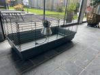 Konijnenkooi / Caviakooi / kippenkooi, Kooi, Zo goed als nieuw, Rat, 75 tot 110 cm