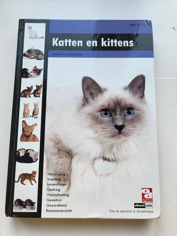 J.P.H. Steijns - Katten en kittens, Boeken, Dieren en Huisdieren, Gelezen, Katten, Ophalen of Verzenden