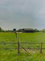 Plekje vrij op pensionstal in Lienden, Dieren en Toebehoren