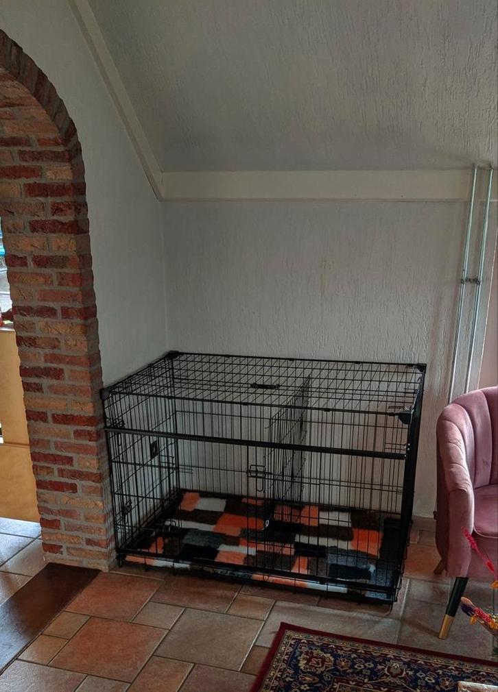 Duvo ninja Xxl bench met schuifdeur en verkleiner., Dieren en Toebehoren, Hondenbenches, Zo goed als nieuw, Ophalen