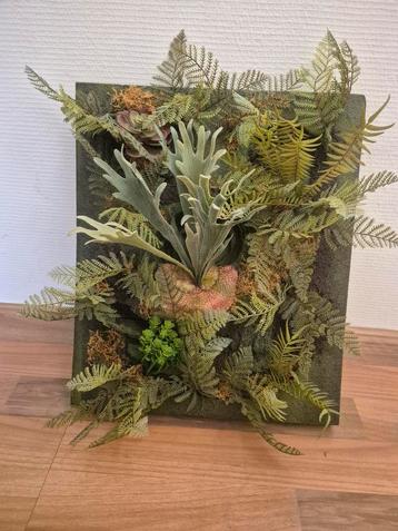 Planten schilderij voor a.d. muur beschikbaar voor biedingen