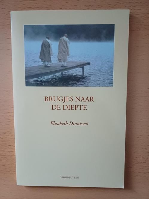 Brugjes naar de diepte - Elisabeth Dinnissen, Boeken, Esoterie en Spiritualiteit, Nieuw, Verhaal of Roman, Ophalen of Verzenden