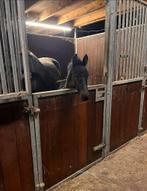 Ponyboxen, Dieren en Toebehoren, Stalling en Weidegang, Toebehoren