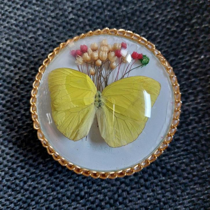 Vintage Doosje met Vlinder en Bloemen, Sieraden, Tassen en Uiterlijk, Broches, Ophalen of Verzenden