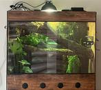 Terraruim te koop., Dieren en Toebehoren, Reptielen en Amfibieën | Toebehoren, Ophalen, Zo goed als nieuw, Terrarium of Paludarium