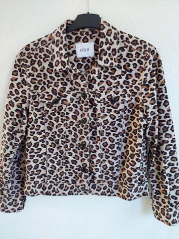 Nieuw Jasje Envy 38 100%katoen lengte55cm bruine tijgerprint beschikbaar voor biedingen