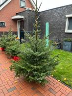 Kerstbomen te koop, Diversen, Kerst, Ophalen of Verzenden, Nieuw