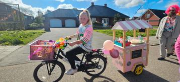 Versierde fietskar optocht wagen  beschikbaar voor biedingen