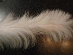 3 witte veren pluimen 65 cm lang, Huis en Inrichting, Nieuw, Ophalen of Verzenden