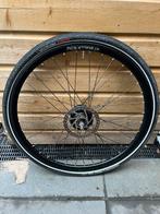 Stella Livorno achterwiel Shimano Nexus 8 schijfrem, Ophalen of Verzenden, Algemeen, Wiel