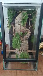 Terrarium 20 cm x 20 cm x 35cm, Dieren en Toebehoren