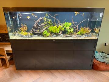 AQUATLANTIS AQUARIUM SUBLIME beschikbaar voor biedingen