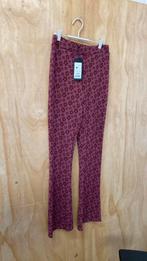 Nieuw super leuke broek maat S merk My Jewellery, My Jewellery, Nieuw, Ophalen of Verzenden, Maat 36 (S)