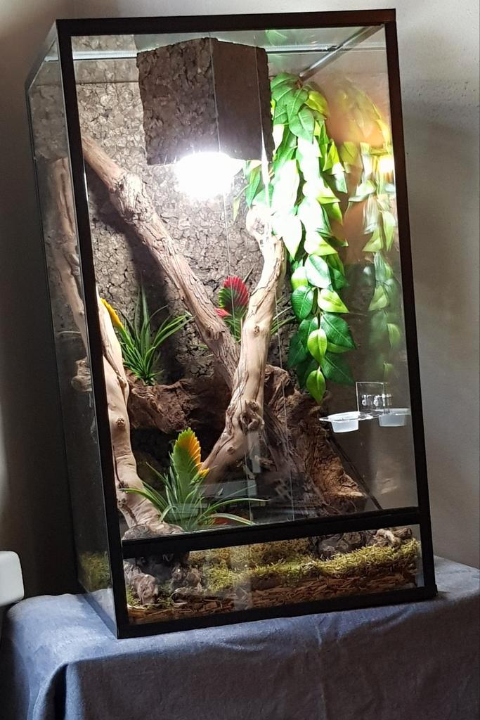 Terrarium te koop, Dieren en Toebehoren, Reptielen en Amfibieën | Toebehoren, Zo goed als nieuw, Ophalen of Verzenden