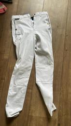 Wedstrijd broek maat 36, Ophalen of Verzenden, Zo goed als nieuw, Dressuur, Onderkleding