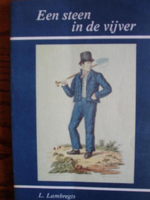 Een steen in de vijver. Maatschappij van weldadigheid., Boeken, Geschiedenis | Stad en Regio, Zo goed als nieuw, 20e eeuw of later