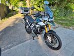 Tiger 900 Rally Pro 2021, Motoren, Motoren | Triumph, 888 cc, 3 cilinders, Particulier, Meer dan 35 kW