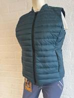 Cavalleria Toscana bodywarmer petrol 40, Dieren en Toebehoren, Paardrijkleding, Ophalen of Verzenden, Zo goed als nieuw, Bovenkleding
