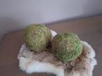 ** 2 kunst mosballen **, Ophalen of Verzenden