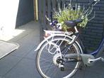 Damesfiets Sparta, Fietsen en Brommers, Fietsen | Dames | Damesfietsen, Ophalen, Sparta, Gebruikt, Versnellingen