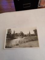 VOORSCHOTEN  BURGEM. BERKHOUTPARK. 1950, Ophalen of Verzenden, 1940 tot 1960