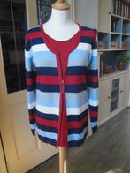 Vest van RABE maat 46, Kleding | Dames, Truien en Vesten, Rabe, Overige kleuren, Maat 46/48 (XL) of groter, Ophalen of Verzenden