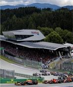 Formule 1 Kaartje Oostenrijk tegen elk aannemelijk bod !, Tickets en Kaartjes, Eén persoon, Juni