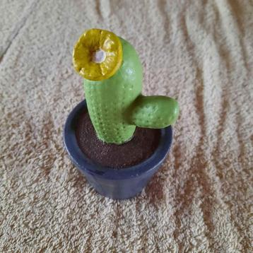 Stenen cactus met gele bloem