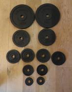 RS Sports 12 Halterschijven / gietijzer / Ø 30 mm /43.05 kg, Ophalen, Zo goed als nieuw, Halterschijven